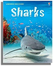 Sharks (Usborne Discovery)