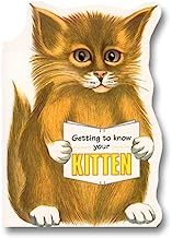 Getting to Know Your Kitten