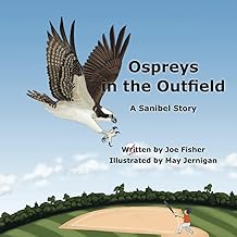 Ospreys in the Outfield: A Sanibel Story