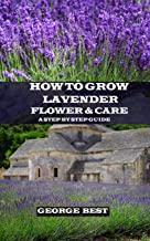 How to Grow Lavender Flower and Care: A Step by Step Guide