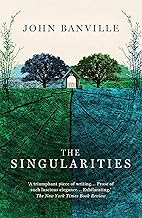 The Singularities: A Novel