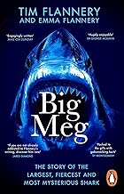 Big Meg: The Story of the Largest, Fiercest and Most Mysterious Shark