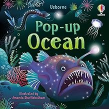 Pop-up Ocean