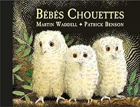 Bébés Chouettes