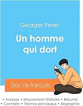 Réussir son Bac de français 2024 : Analyse du roman Un homme qui dort de Georges Perec