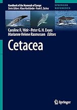 Cetacea