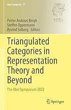 Triangulated Categories in Representation Theory and Beyond: The Abel Symposium 2022: 17