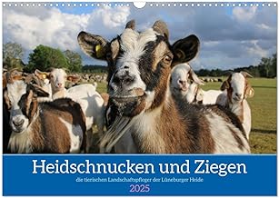 Heidschnucken und Ziegen die tierischen Landschaftspfleger der Lüneburger Heide (Wandkalender 2025 DIN A3 quer), CALVENDO Monatskalender: ... in der wunderschönen Lüneburger Heide