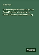 Das ehemalige fürstliche Lustschloss Salzdahlum und sein Aeberreste: Geschichtsabriss und Beschreibung