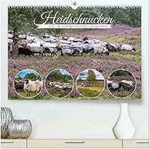 Heidschnucken, die prächtigen Schafe der Lüneburger Heide (hochwertiger Premium Wandkalender 2025 DIN A2 quer), Kunstdruck in Hochglanz: Diese Tiere sind unentbehrlich für den Erhalt der Heideflächen.