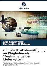 Globale Risikobewältigung an Flughäfen als 