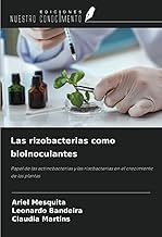 Las rizobacterias como bioinoculantes: Papel de las actinobacterias y las rizobacterias en el crecimiento de las plantas