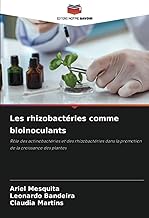 Les rhizobactéries comme bioinoculants: Rôle des actinobactéries et des rhizobactéries dans la promotion de la croissance des plantes