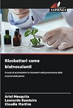 Rizobatteri come bioinoculanti: Il ruolo di actinobatteri e rizobatteri nella promozione della crescita delle piante