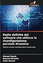 Radio definita dal software che utilizza la riconfigurazione parziale dinamica: Sistema wireless riconfigurabile in tempo reale