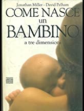 Come nasce un bambino