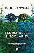 Teoria delle singolarità