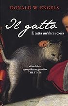 Il gatto