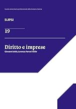 Diritto e imprese. SUPSI (Vol. 19)