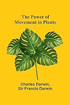 The Power of Movement in Plants