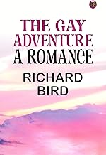 The Gay Adventure: A Romance